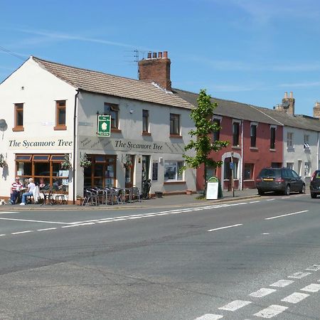 Longtown The Sycamore Tree מראה חיצוני תמונה